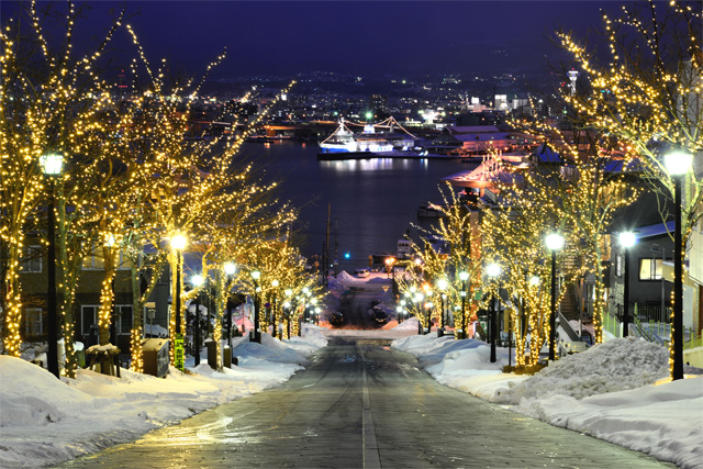 八幡坂のイルミネーション